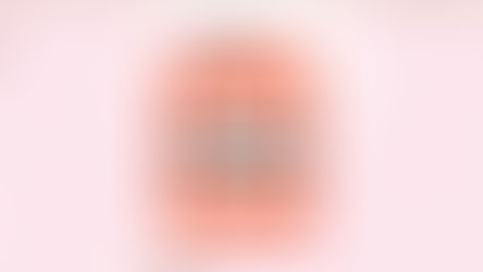 MOCO 먹튀 피해 내용 토토사이트 정보 공유 사설에이전트