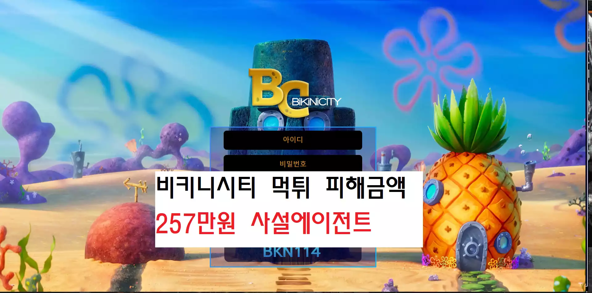 비키니시티 먹튀사이트