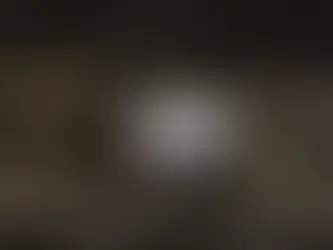 다이아 먹튀 검거 먹튀사이트 검거 1위 토토사이트