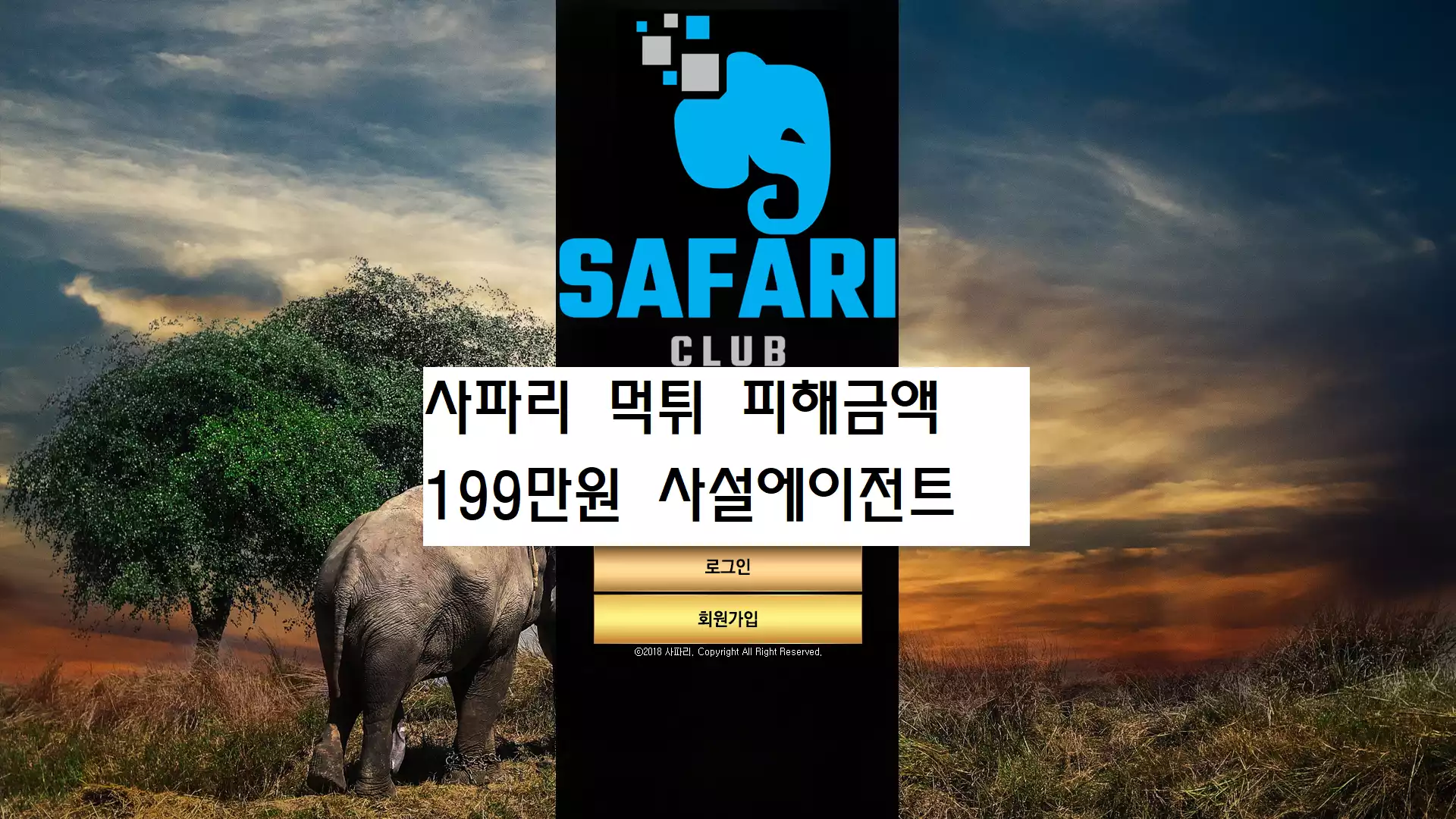 사파리 먹튀사이트