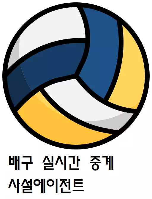 배구.webp