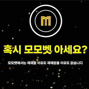모모벳.webp