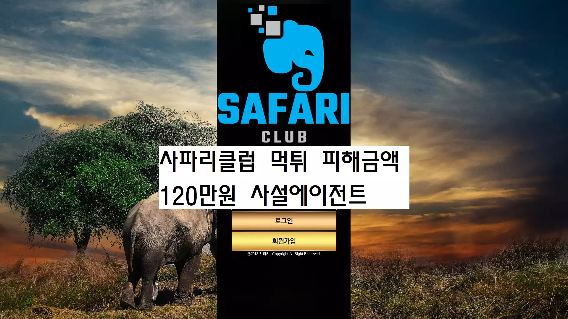 사파리클럽 먹튀사이트