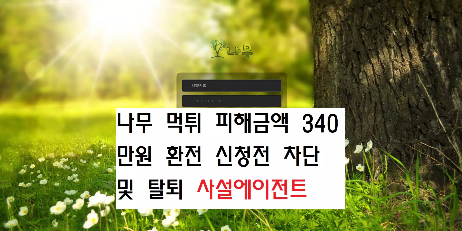 나무 먹튀사이트