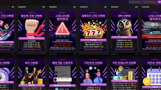 베로나 먹튀 피해 발생 토토사이트 정보 공유 사설에이전트