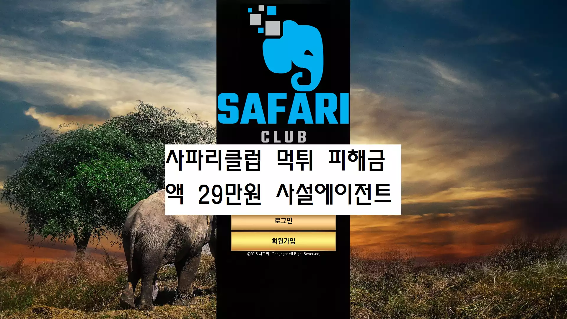 사파리클럽 먹튀사이트
