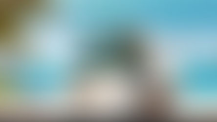 북극곰 먹튀 피해 내용 토토사이트 정보 공유 사설에이전트