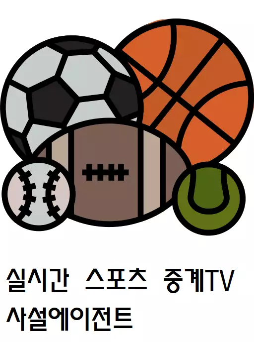 스포츠 중계.webp
