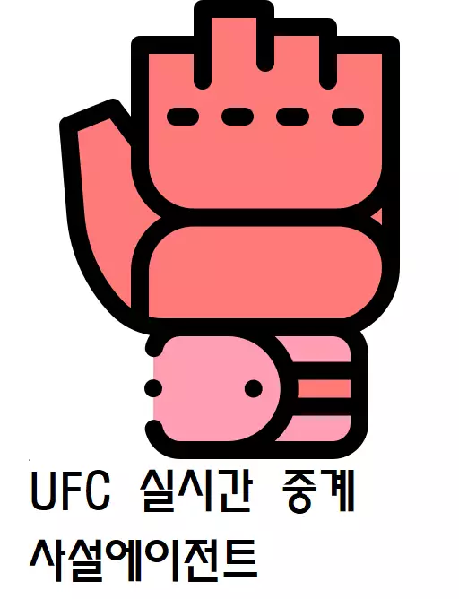ufc.webp