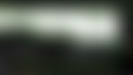 히트벳 먹튀 피해 내용 토토사이트 정보 공유 사설에이전트