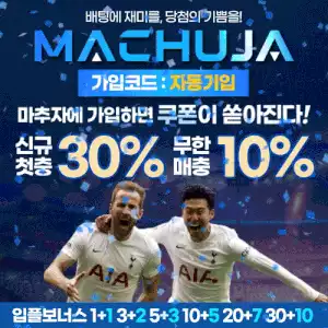 마추자 토토사이트.webp