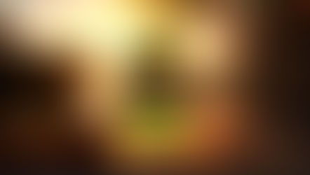 트레져 먹튀 피해 내용 토토사이트 정보 공유 사설에이전트