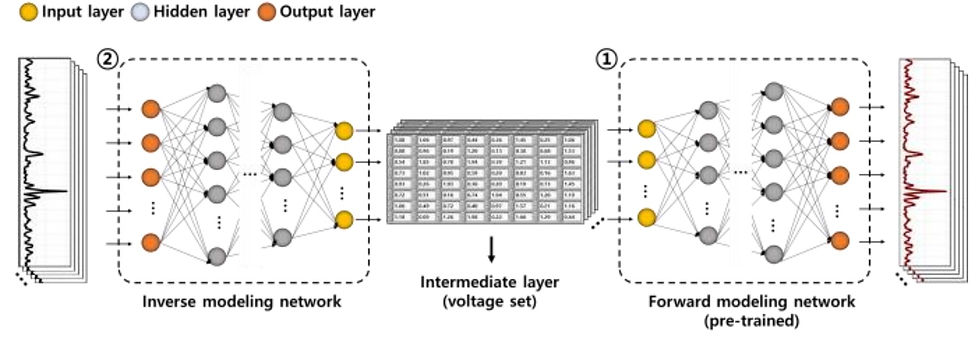 schematic diagram of the proposed tandem network model for OPA phase control