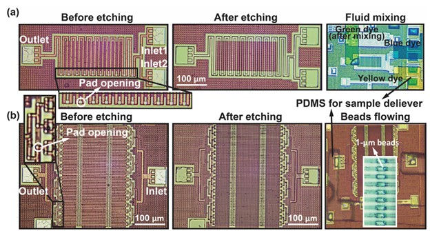 functional microfluidic structures