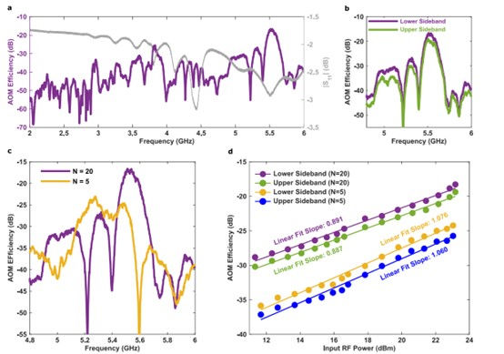 The study analyzes the acousto-optic modulation (AOM) efficiency of IDT devices, focusing on the output power normalized to beat-note power and the S11 response for devices with 20 finger pairs