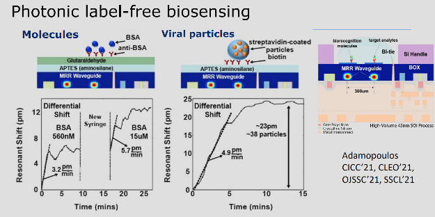Photonic label-free bio-sensing