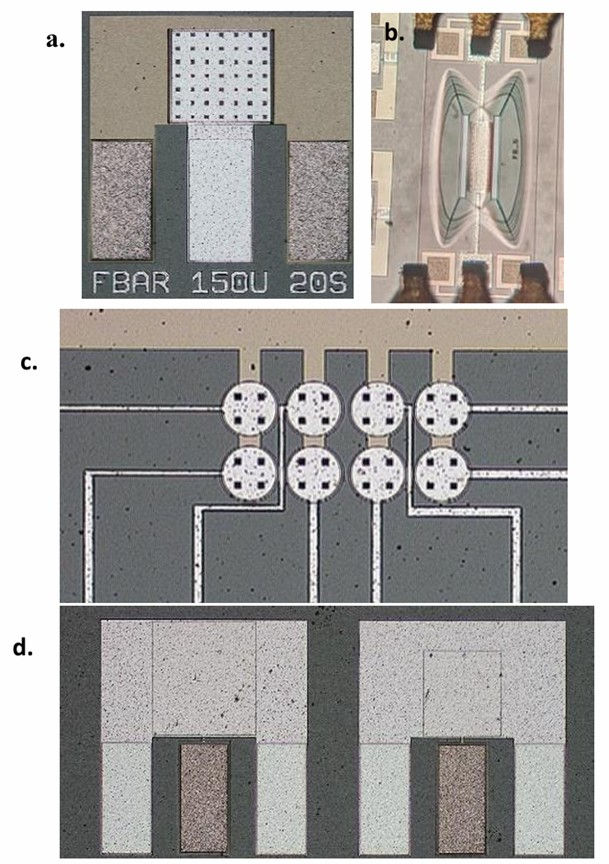 Image of the fabricated devices