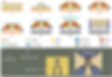 Transfer-Printable Photodiode Coupons