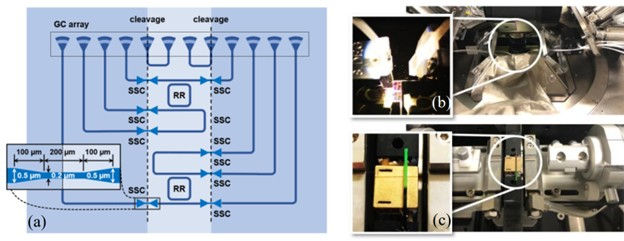 Schematic view of the RR device