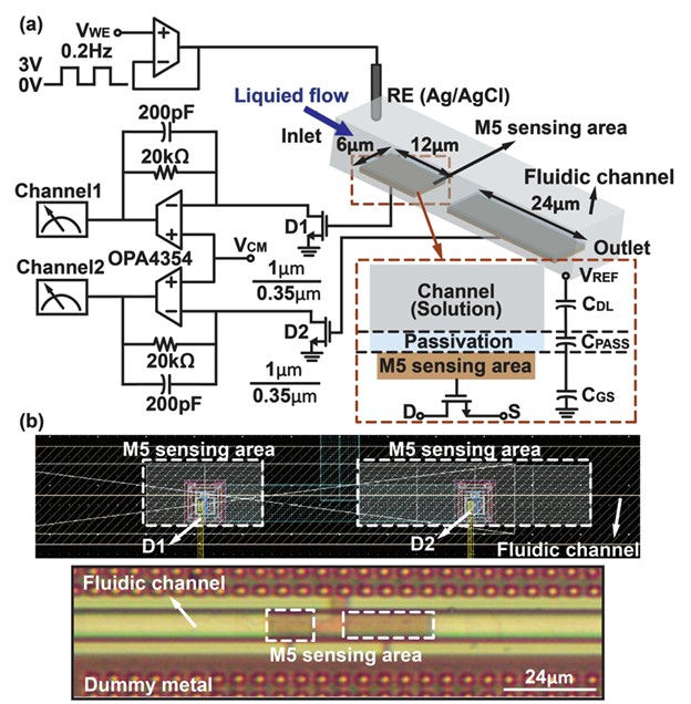 schematic of an integrated ISFET sensor