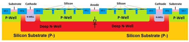 Schematic cross-section of a single SPAD FD-SOI.