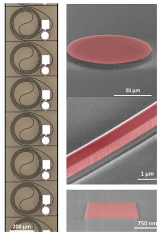 Detailed view of tunable lasers, microdisk lasers, and waveguides implemented on insulator