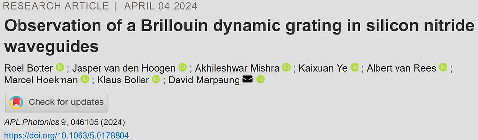 Brillouin dynamic grating
