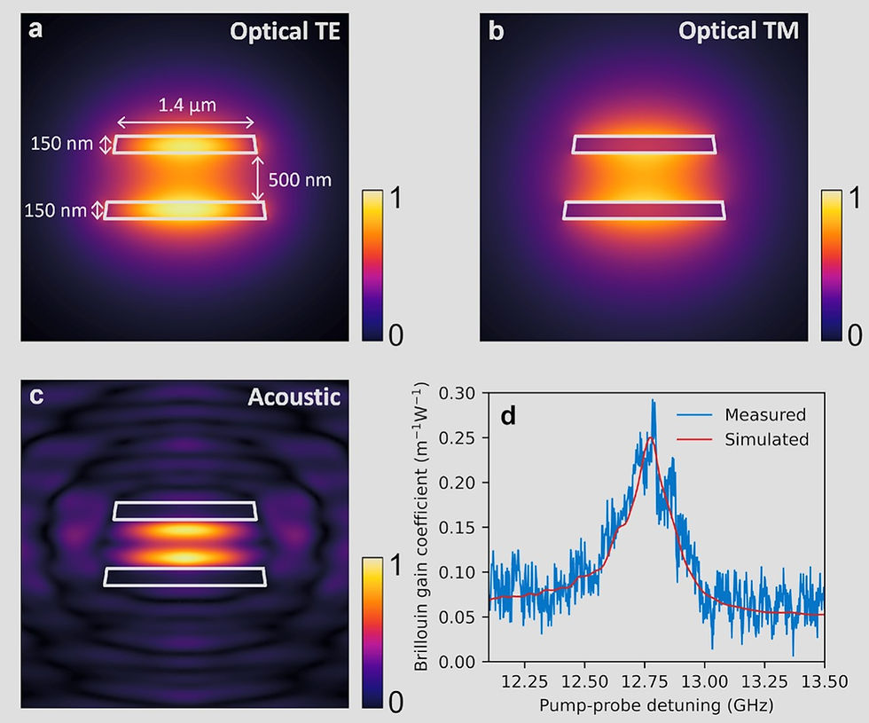 FIG. 2. Different mode fields of the waveguide. (a) The optical TE mode at 1556 nm with the dimensions of the waveguide overlayed. (b) The optical TM mode at 1502 nm. (c) The acoustic response at 12.76 GHz. (d) The measured and simulated Brillouin gain coefficient of the waveguide at 1550 nm