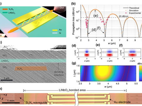 Bound States in the Continuum (BIC) Guided Modes in Photonic Integrated Circuits (PICs)