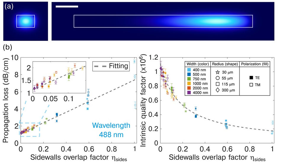 how the waveguide cross-section affects mode propagation loss at a 488 nm wavelength