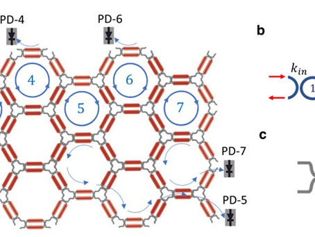 Topological Photonics on a Programmable Integrated Photonics Platform