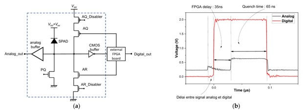 depicts SPAD electronics: (a) a schematic circuit with an external FPGA for active quench, recharge, and dead time control, and (b) analog and digital signal waveforms with a 65 ns quench time.