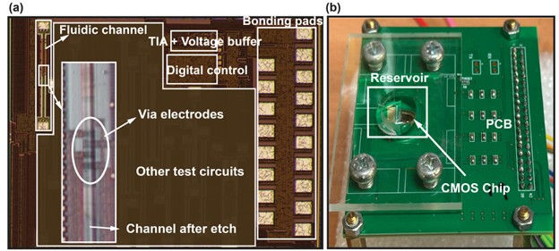 Photograph of the fabricated chip
