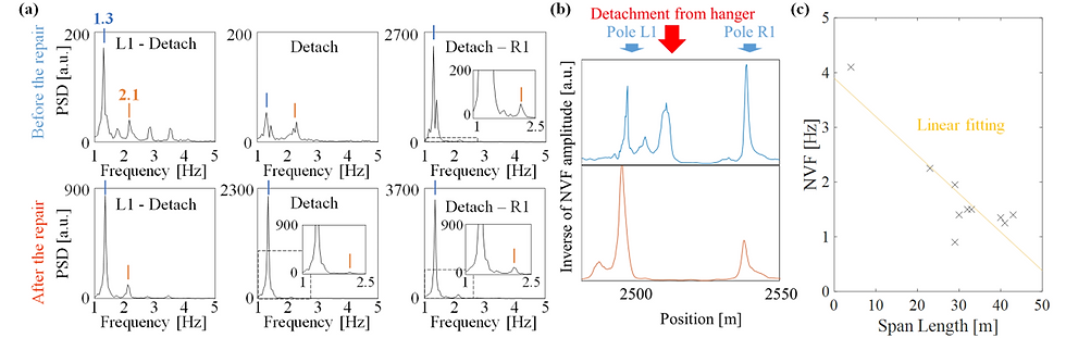 Frequency analysis showing (a) spectra from before/at/after detachment, (b) pattern variations based on NVF amplitude, and (c) correlation between NVF and span length