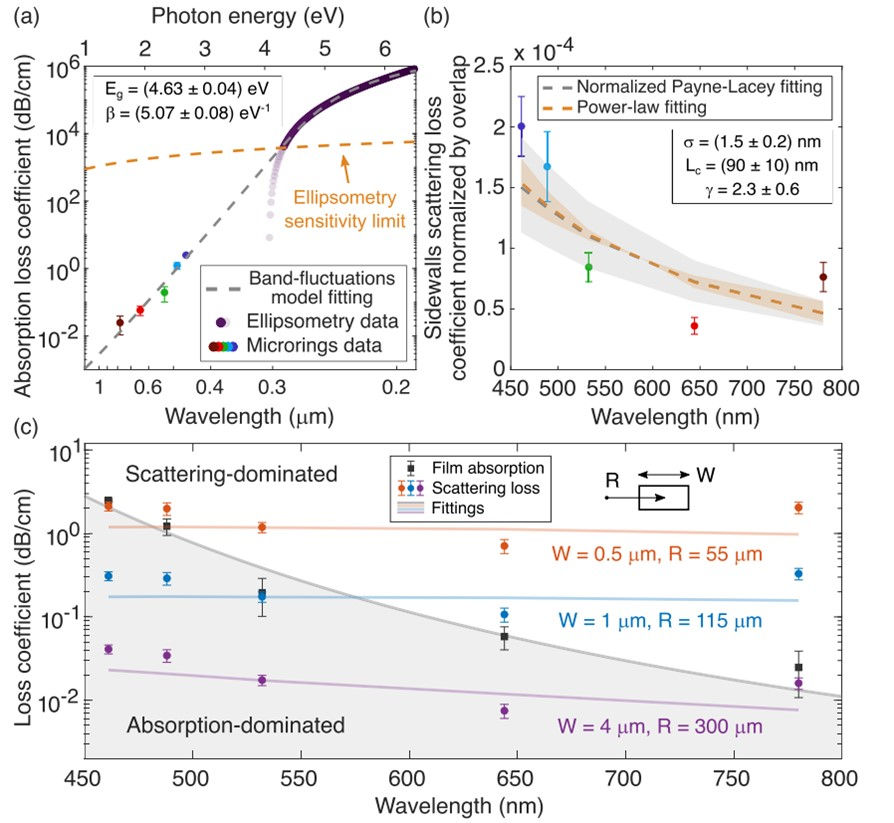 wavelength dependence of absorption and surface scattering on the SiN platform (Si/N = 0.82).