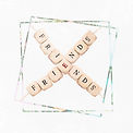fst2-friend-bracelets-nl.jpg