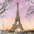 st-lingual-france-c.jpg