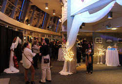 Night at the Symphony