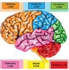 WAYNE COUNTY BRAIN INJURY SUPPORT GROUP