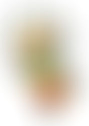 N.C. Pickle Festival Sets
Earlier Date for 2019