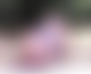 From The Pig Pen
There Is No Place Like Home