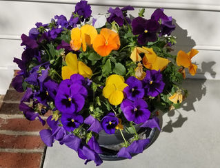 October Gardening Tips