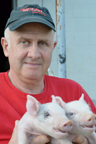 From the Pig Pen