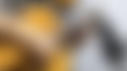 Acoustic Music Jam: Musicians are Invited