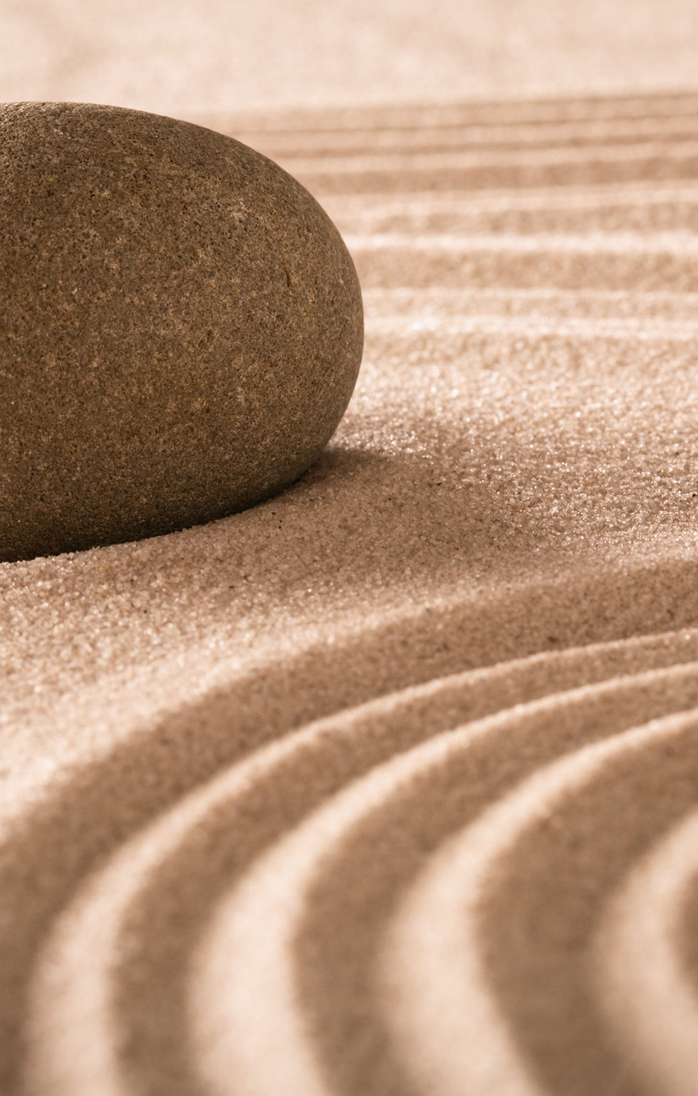 Rock in Sand