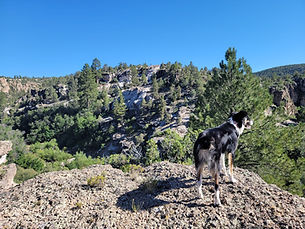 20230805_162821.jpg