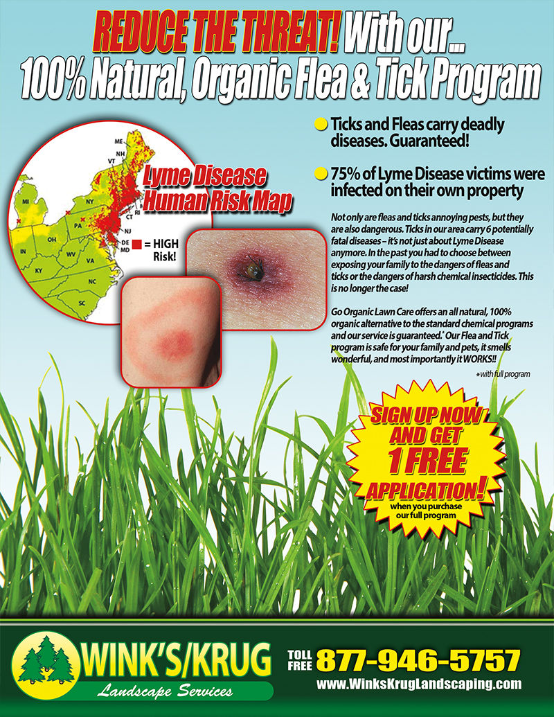 flea tick control flyer