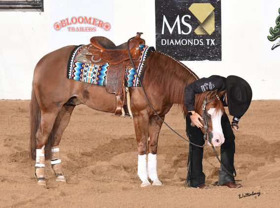 The Run For A Million Open Shootout