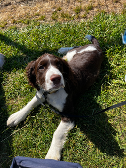 70507587737__C8DA2621-C5EF-494E-A99E-D453B85873F4