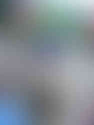 30 years ago today. Picking Lilacs for our wedding the following day.